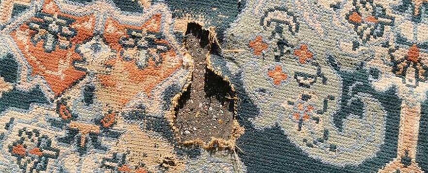 peter-shaw-needlepoint-before